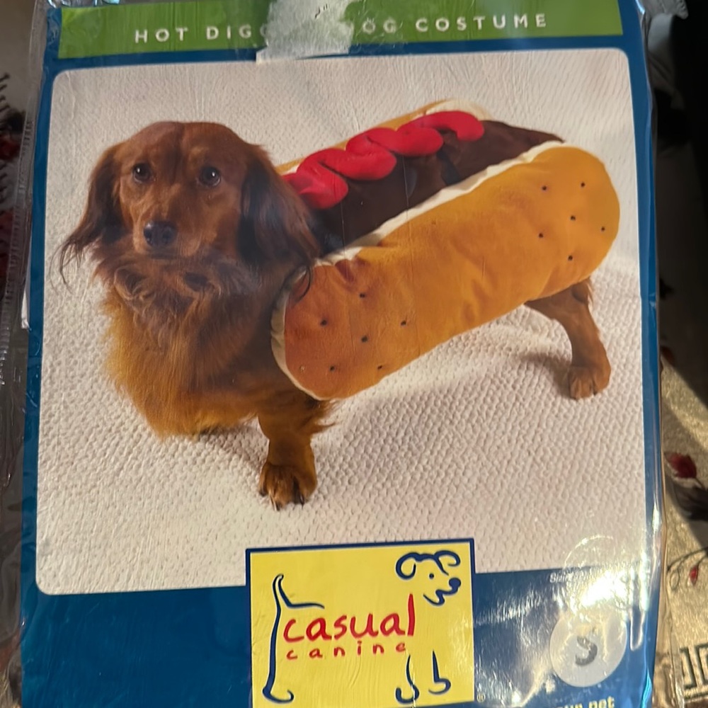 Hoy dog costume. Never worn.Size small.Will fit a small Pomeranian or chihuahua.